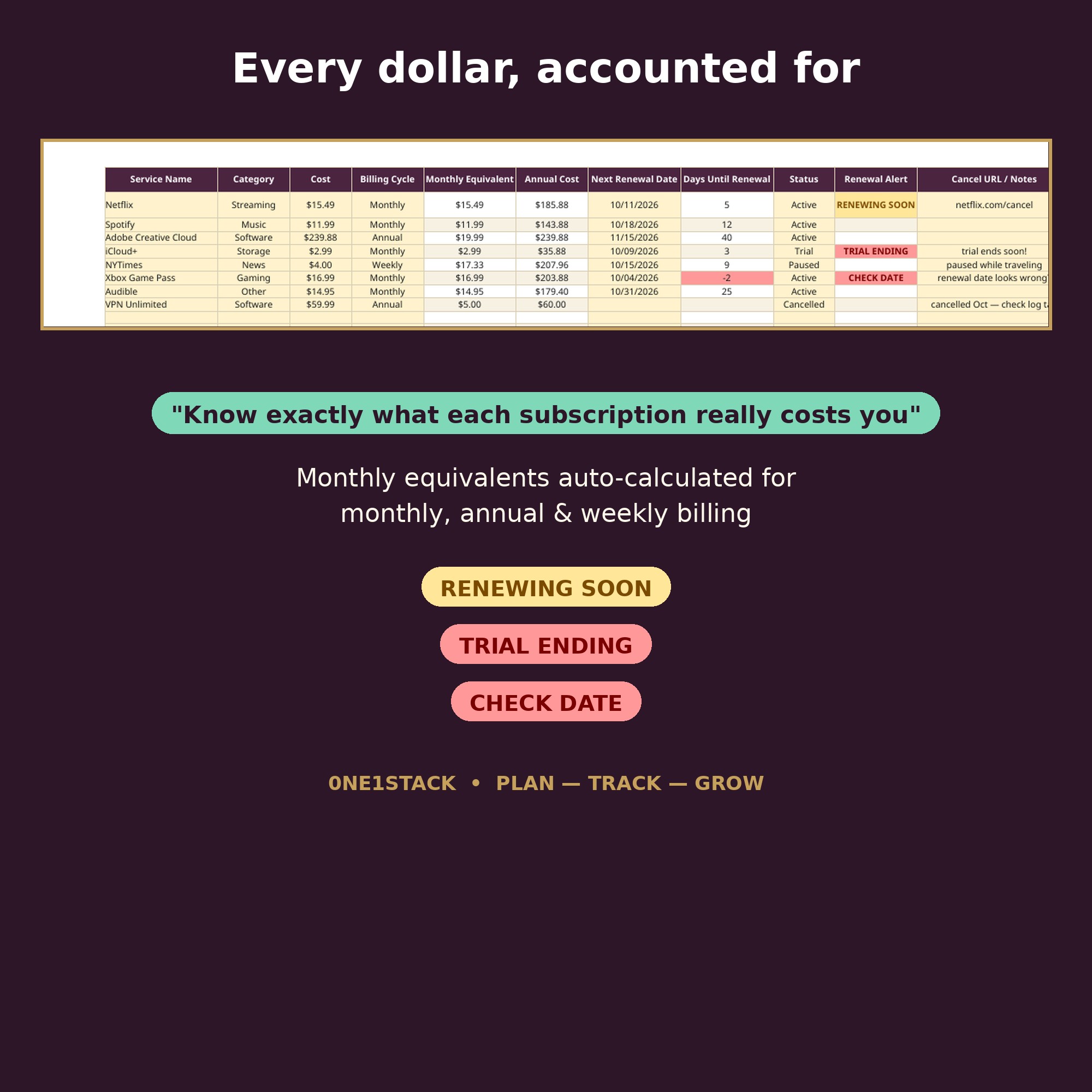 Subscription Tracker Spreadsheet thumbnail 3